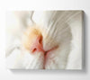 Cat Nose Canvas Wall Art