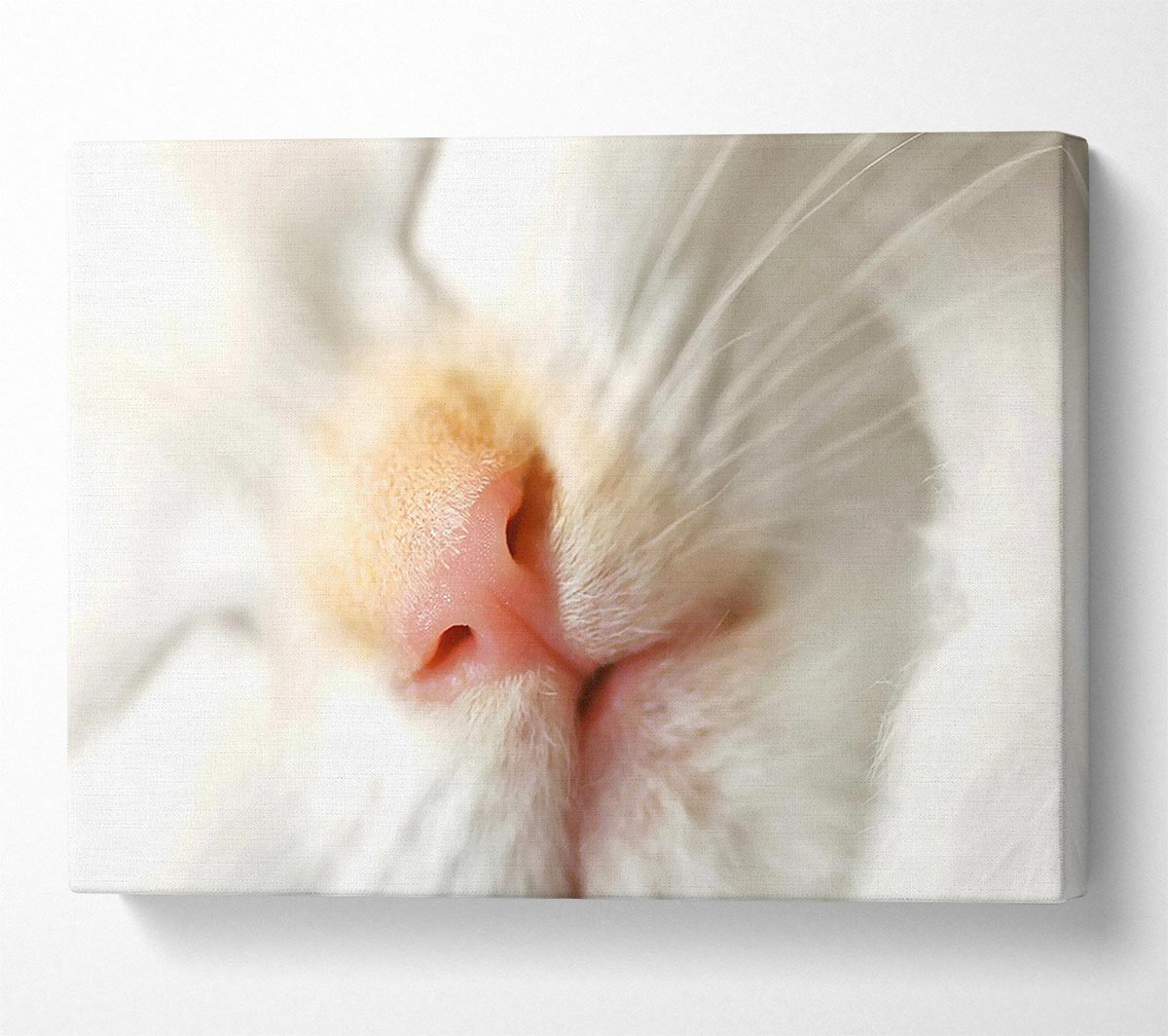 Cat Nose Canvas Wall Art