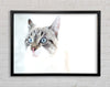 Cat Snow Framed Wall Art