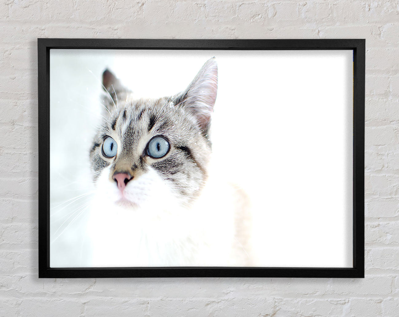 Cat Snow Framed Wall Art