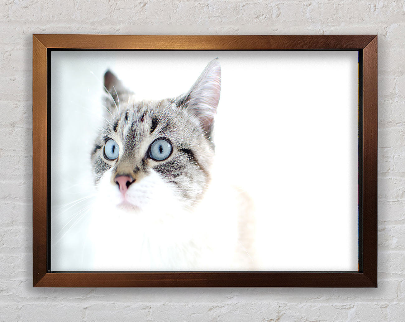 Cat Snow Framed Wall Art