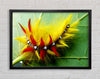 Caterpillar Beauty Framed Wall Art