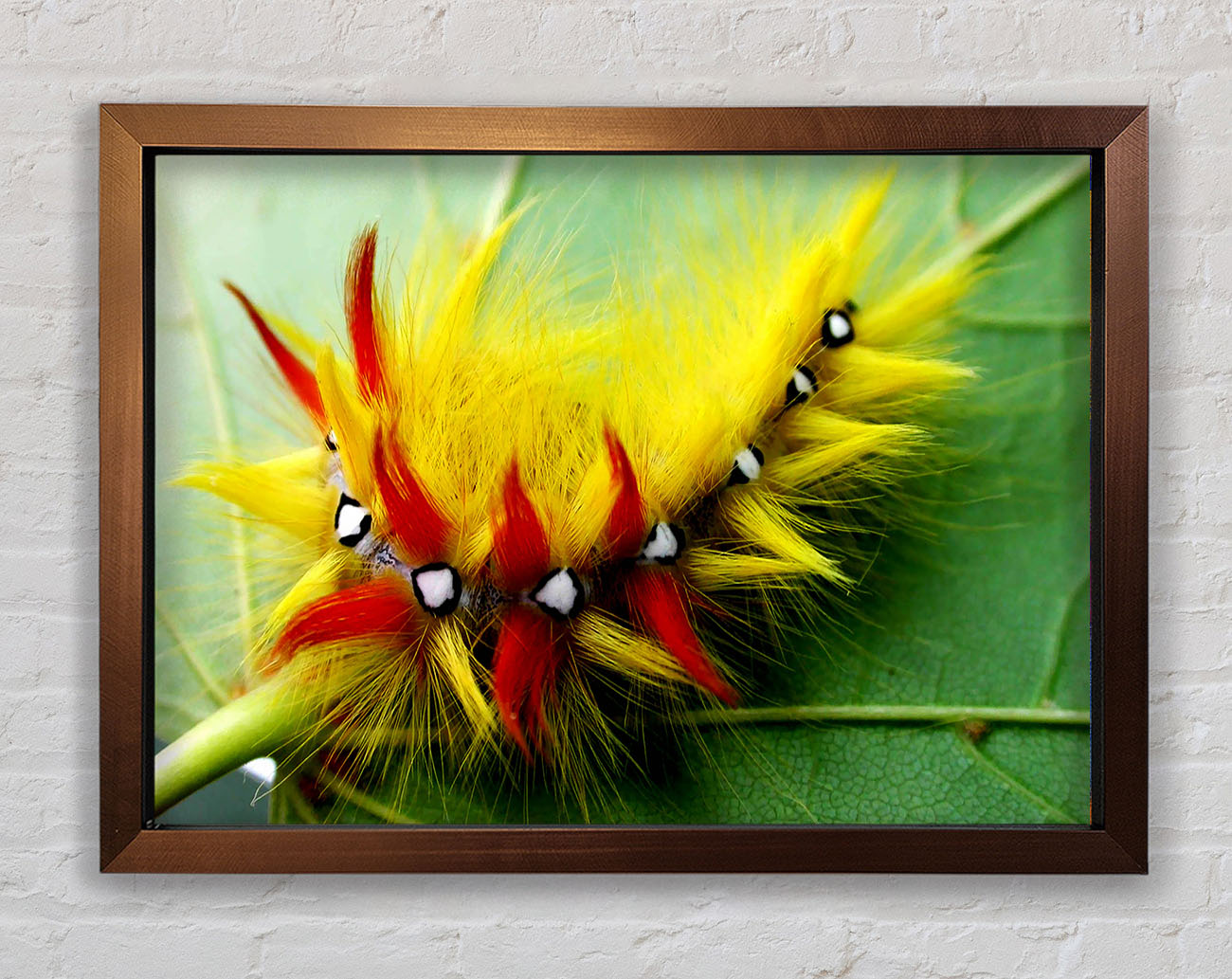 Caterpillar Beauty Framed Wall Art