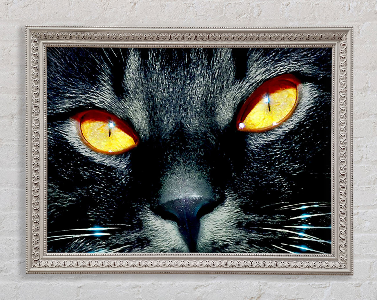Cats Eyes Framed Wall Art