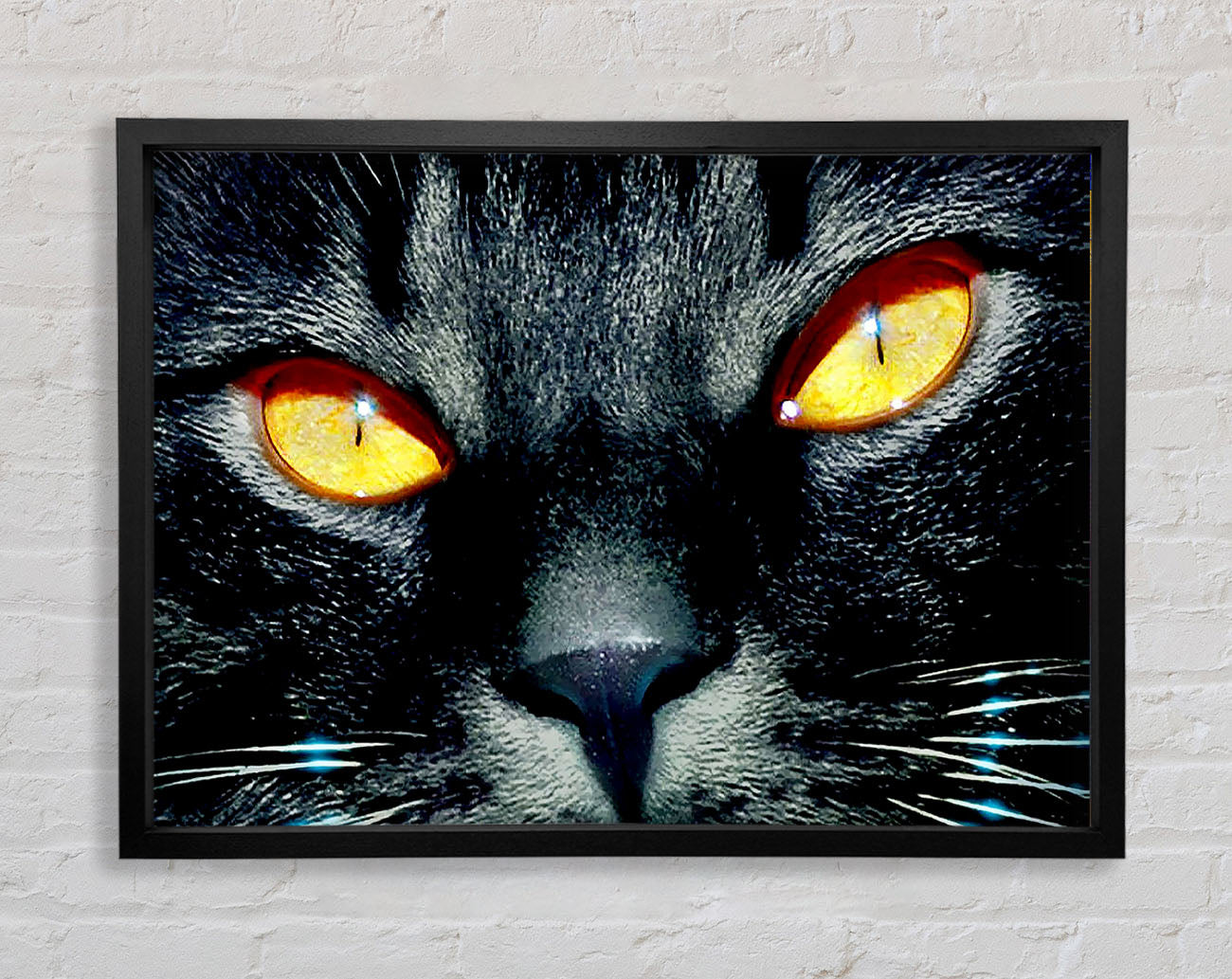 Cats Eyes Framed Wall Art