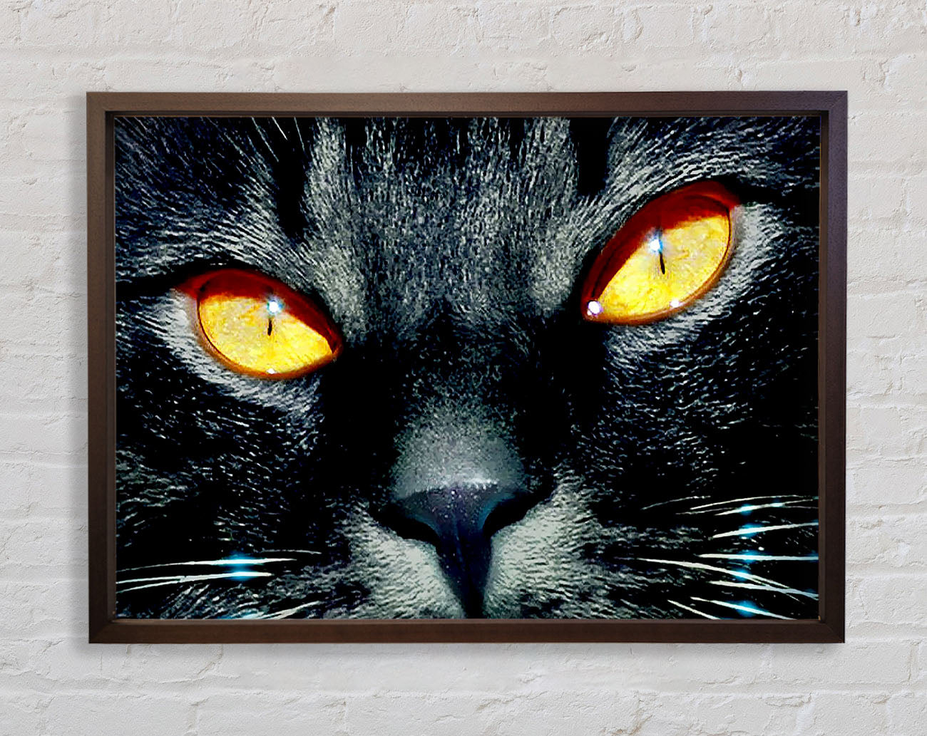 Cats Eyes Framed Wall Art