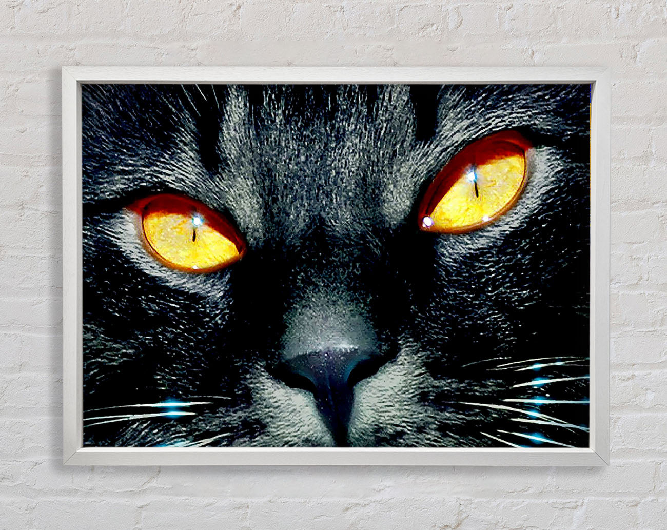 Cats Eyes Framed Wall Art
