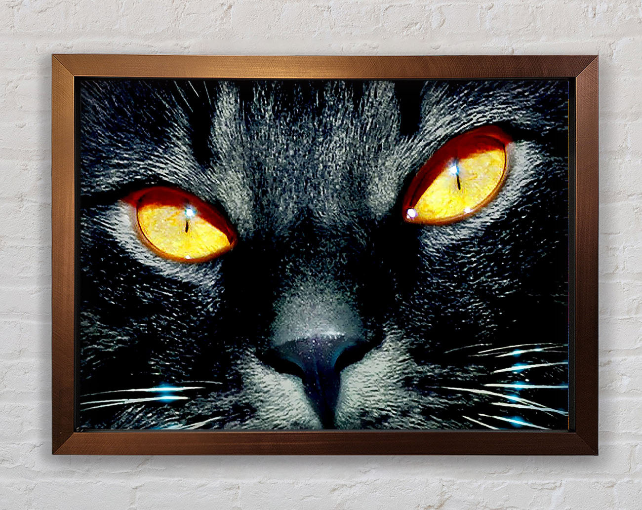 Cats Eyes Framed Wall Art