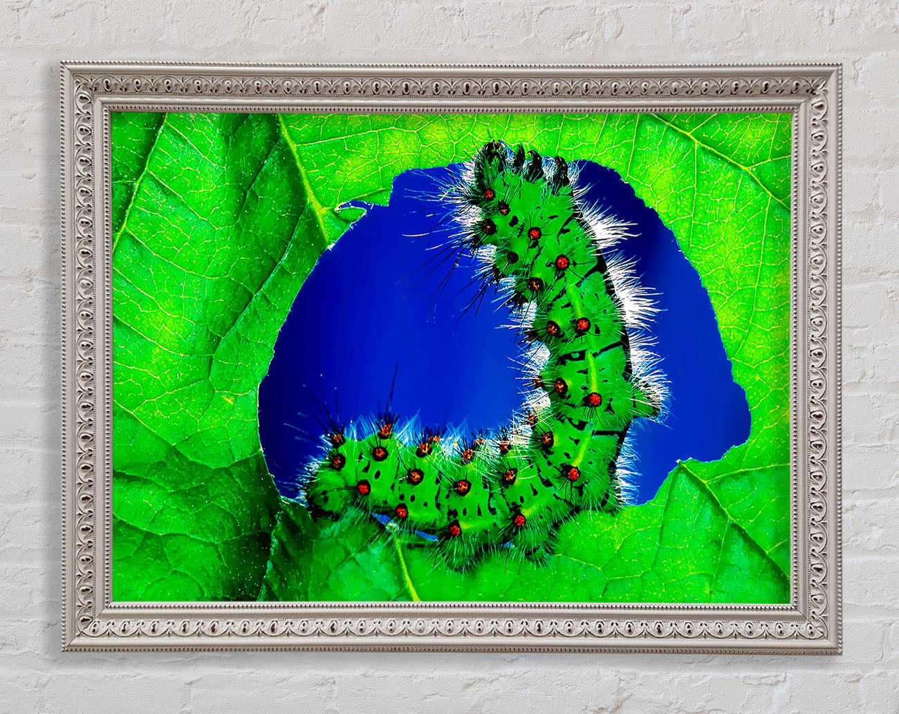Caterpiller Delight Framed Wall Art