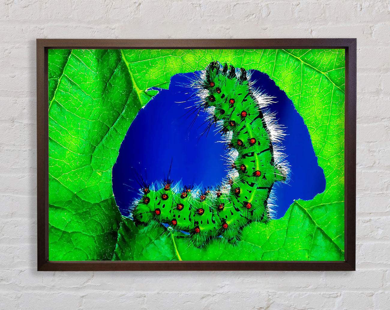 Caterpiller Delight Framed Wall Art