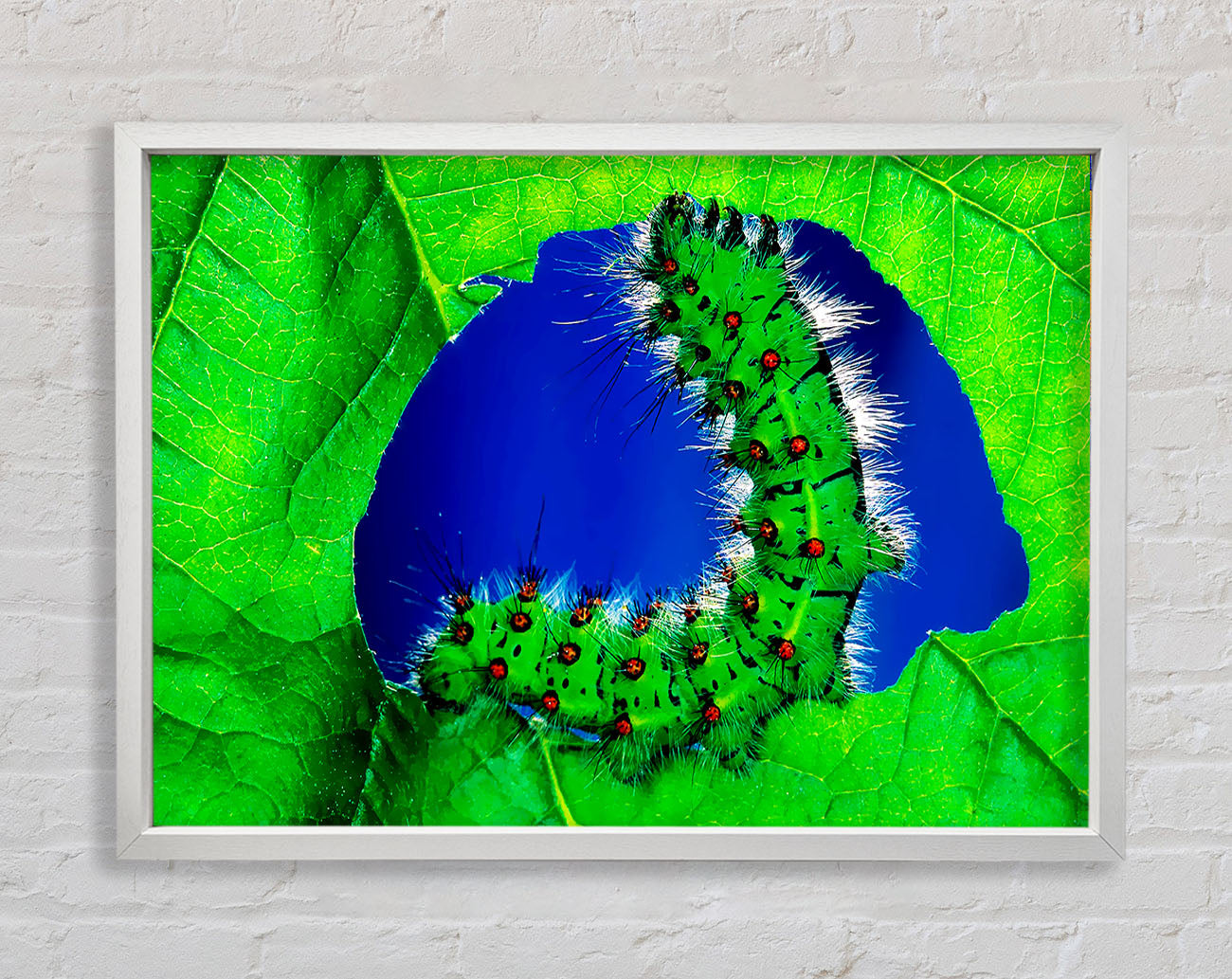 Caterpiller Delight Framed Wall Art
