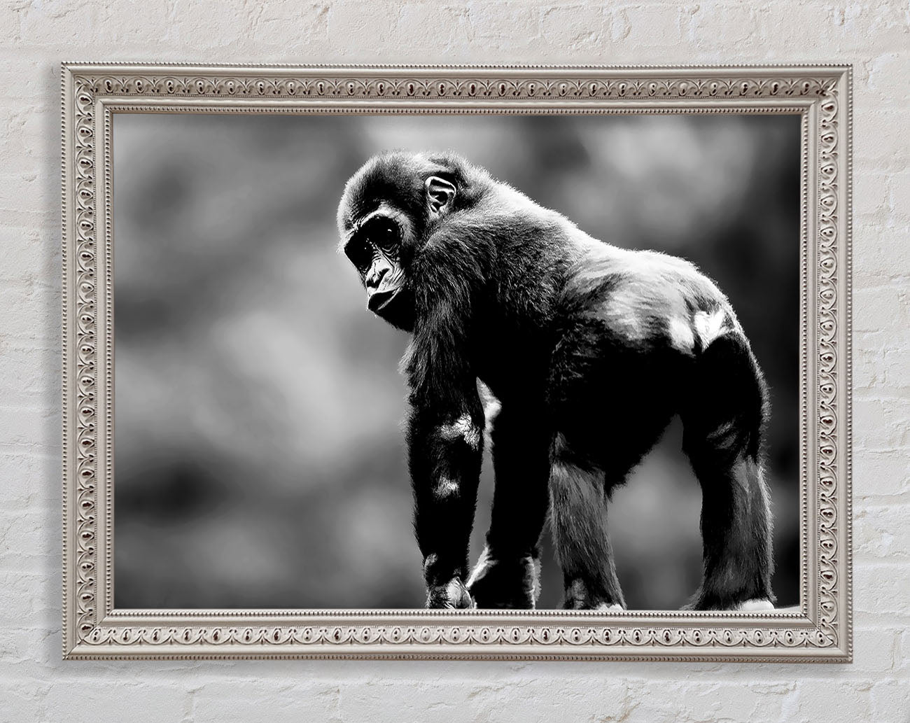 Cheeky Monkey Framed Wall Art