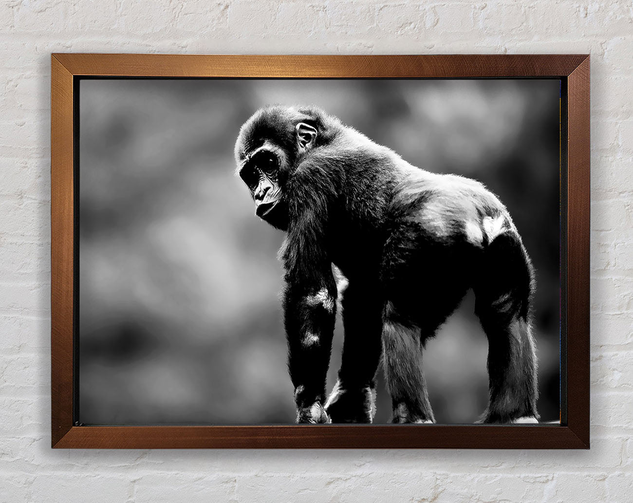 Cheeky Monkey Framed Wall Art