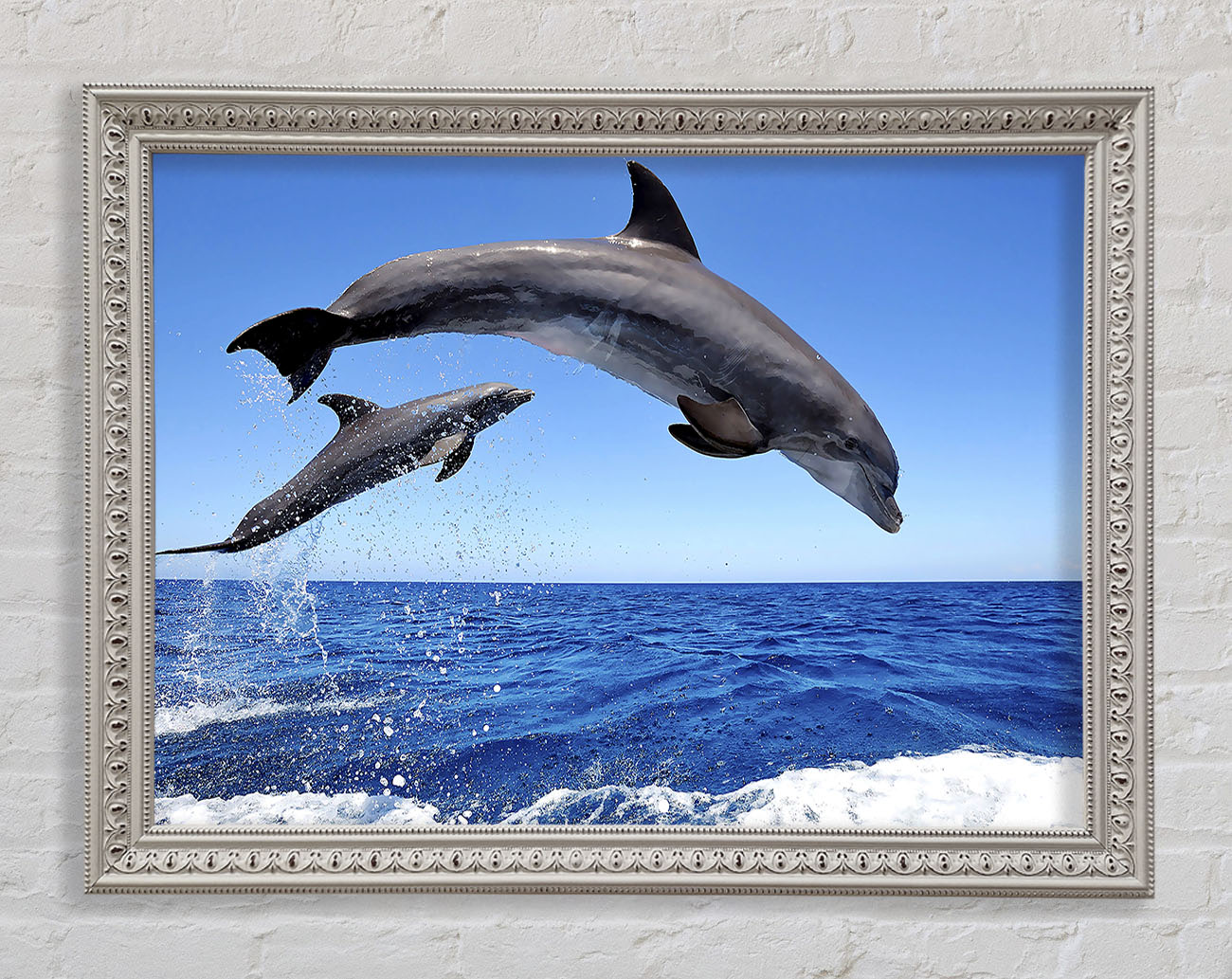 Common Bottlenose Dolphins Framed Wall Art