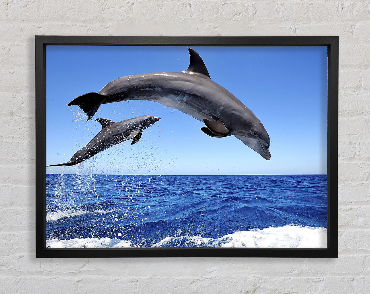Common Bottlenose Dolphins Framed Wall Art