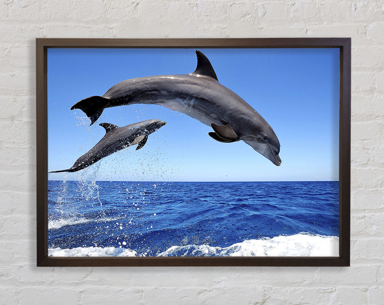 Common Bottlenose Dolphins Framed Wall Art