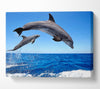 Common Bottlenose Dolphins Canvas Wall Art