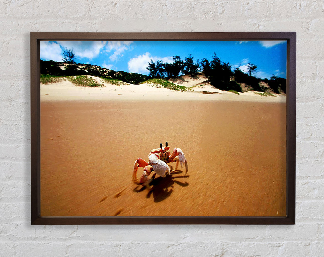 Crab Paradise Framed Wall Art