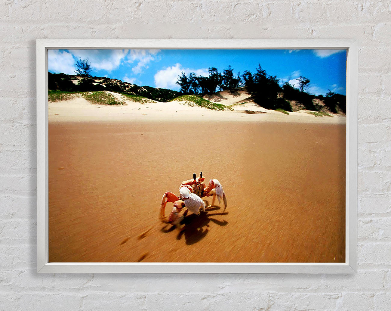 Crab Paradise Framed Wall Art