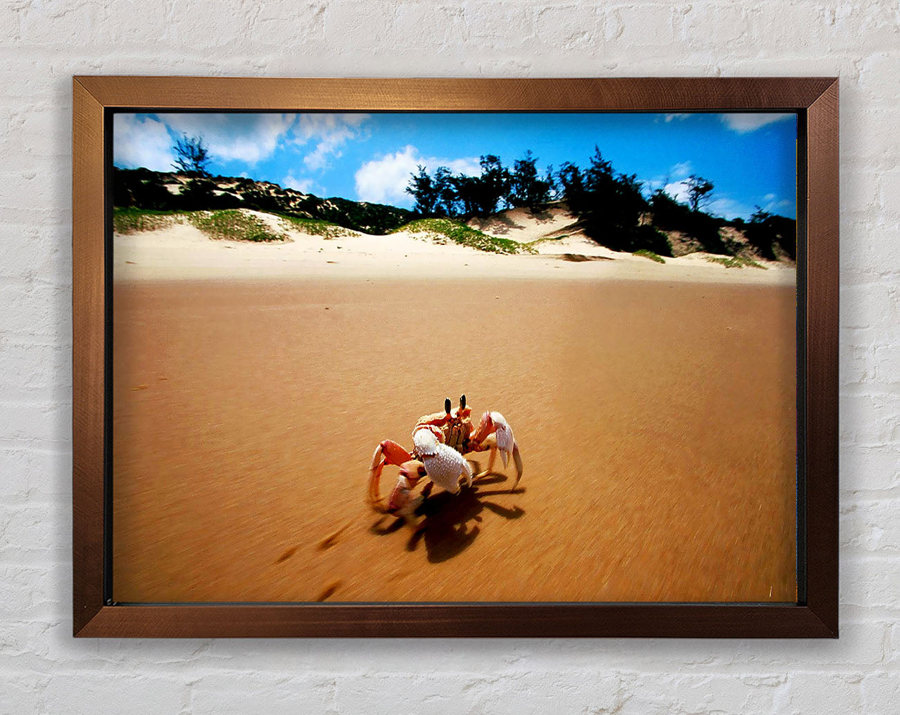 Crab Paradise Framed Wall Art
