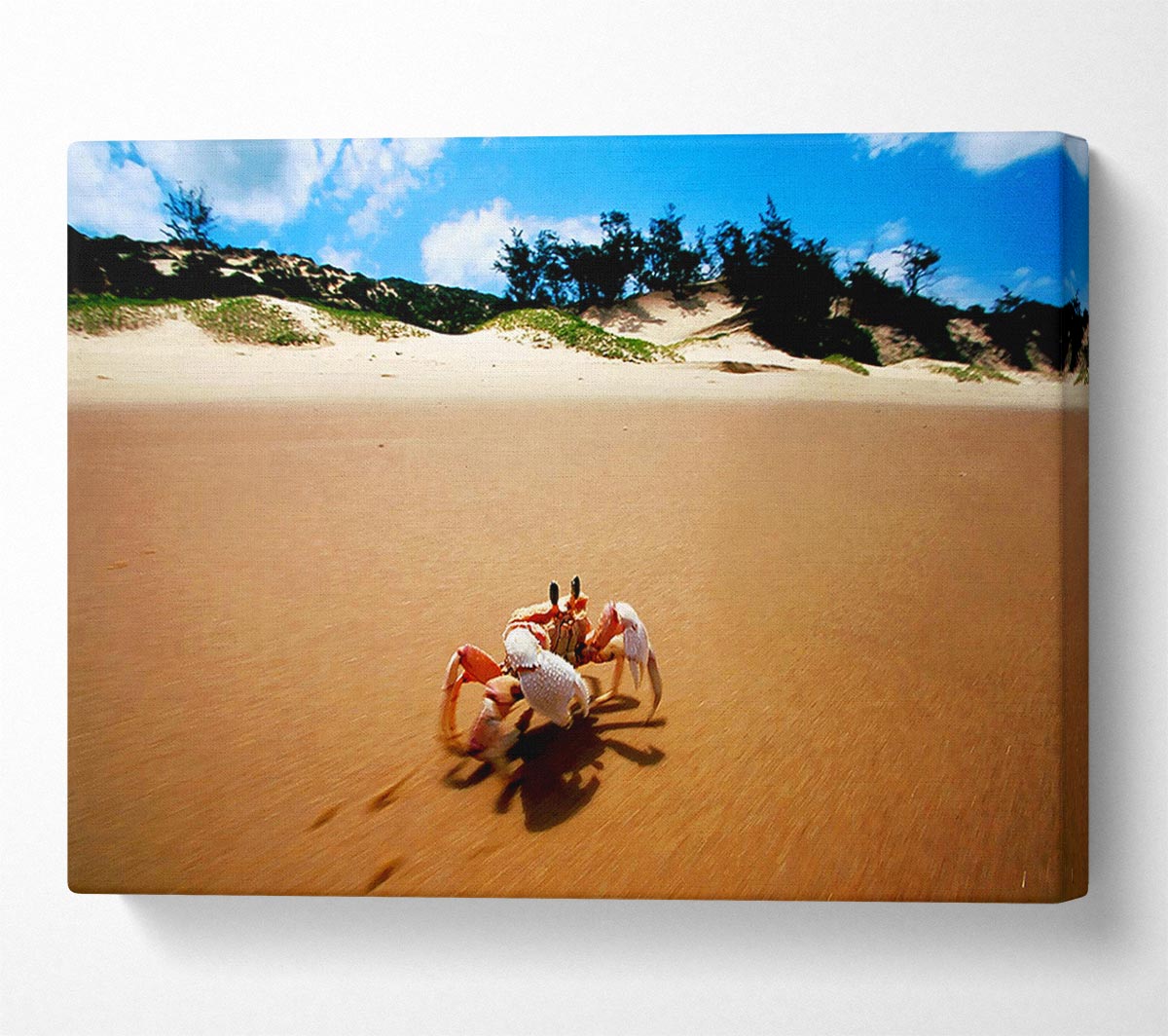 Crab Paradise Canvas Wall Art