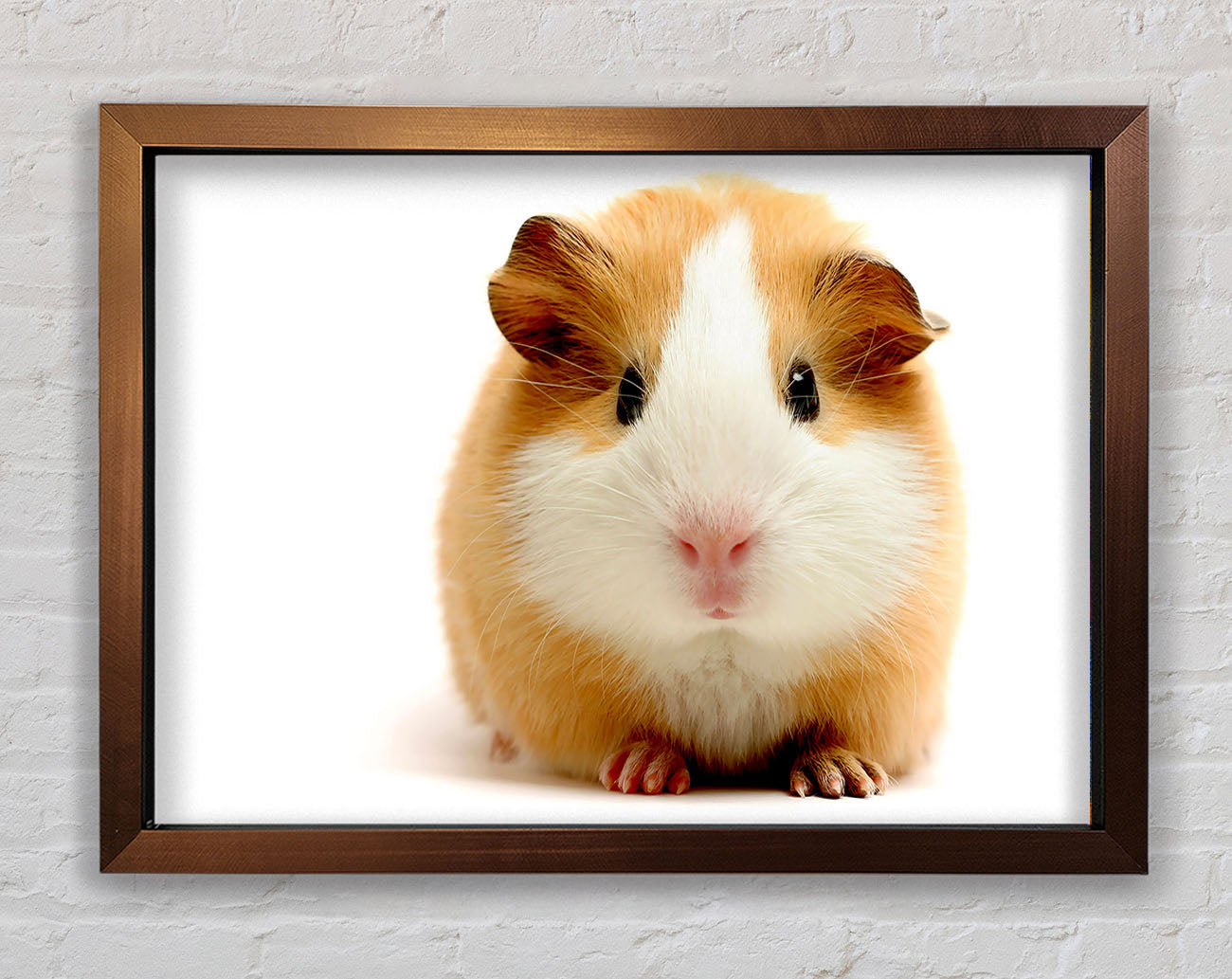 Cute Guinea Pig Framed Wall Art