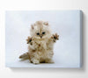 Cute Kitten Paws Canvas Wall Art
