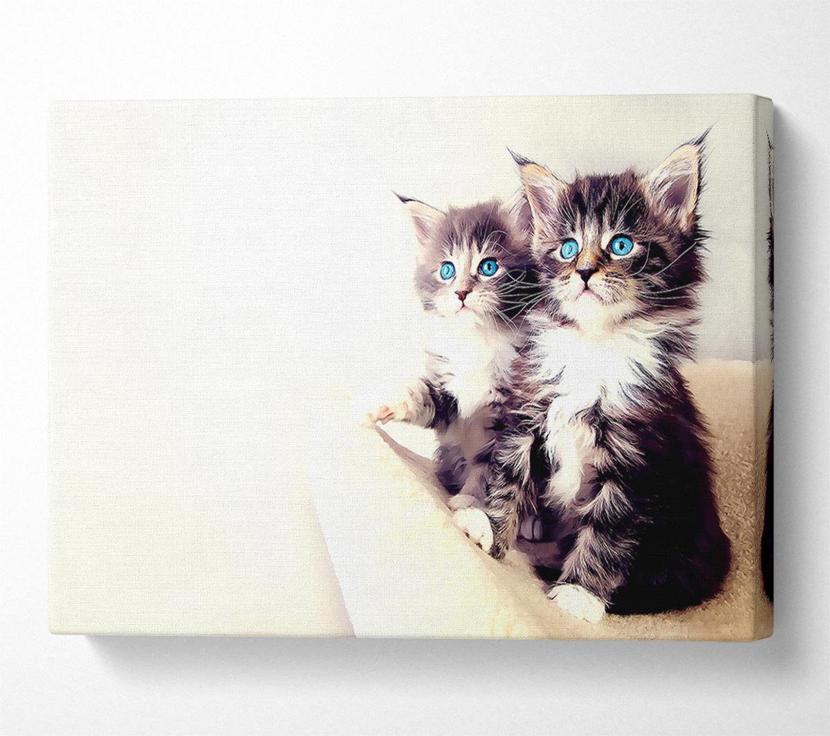 Cute Kittens Canvas Wall Art