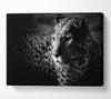 Dark Cheetah Canvas Wall Art
