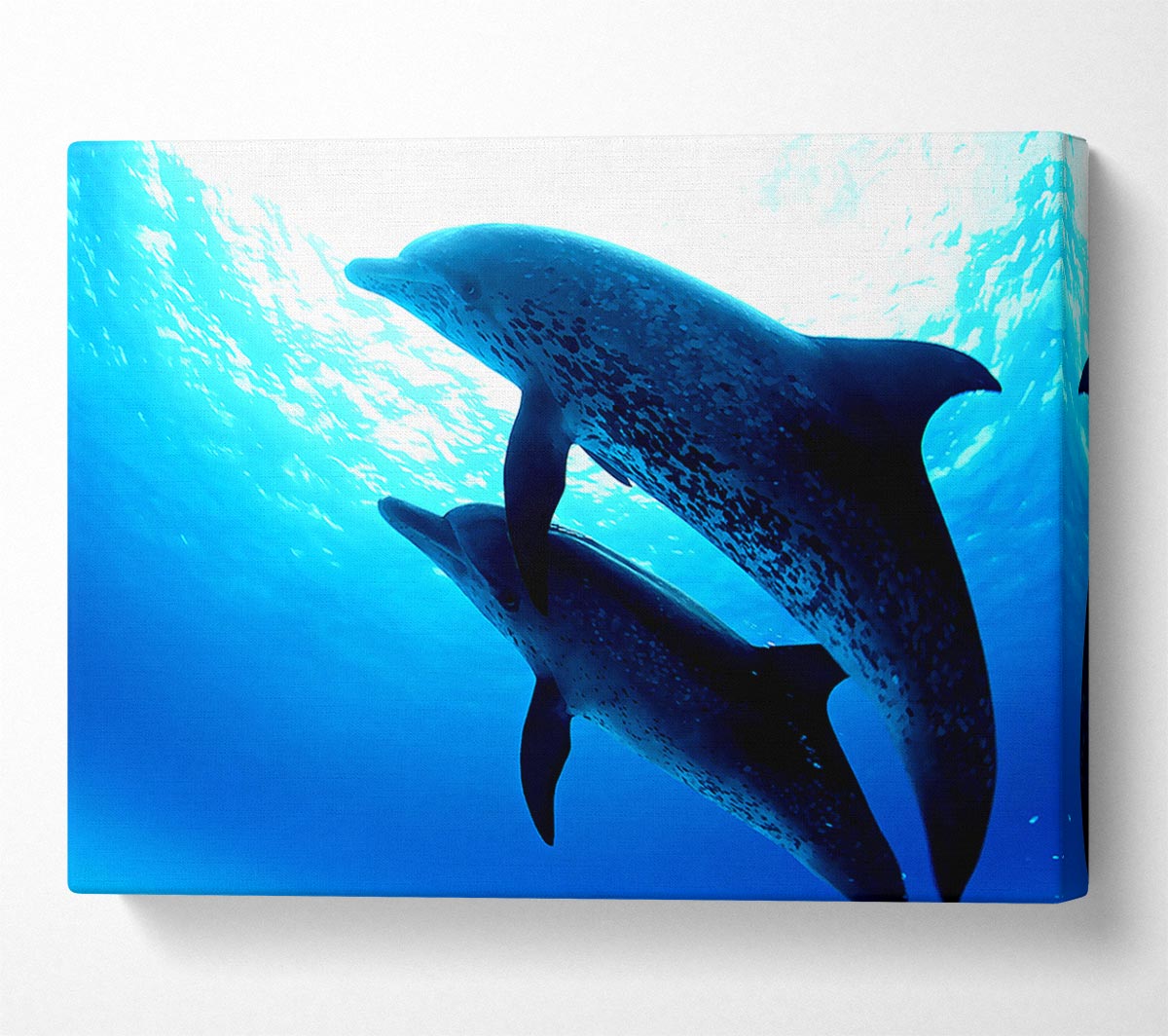 Dolphins Under The Sea Canvas Wall Art
