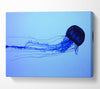 Elegant Jellyfish Canvas Wall Art
