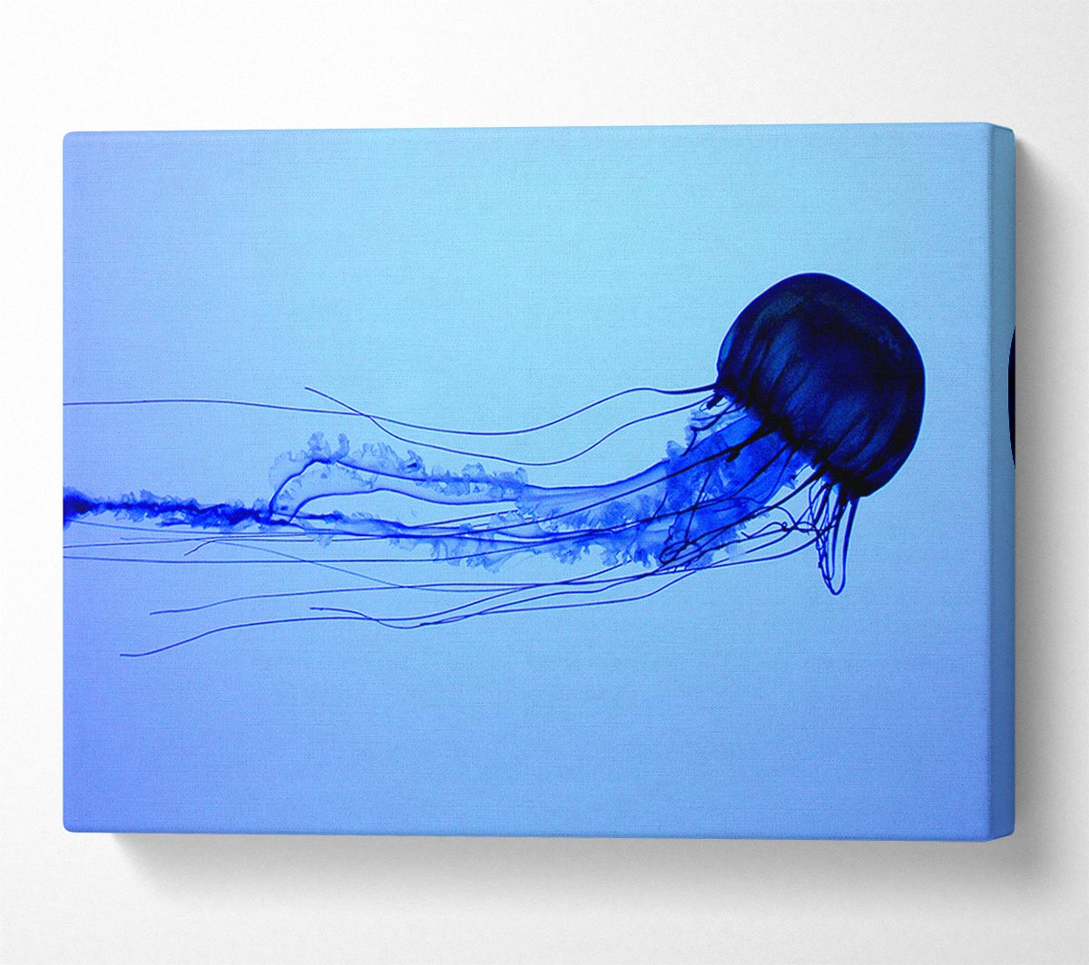 Elegant Jellyfish Canvas Wall Art