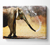 Elephant Bath Canvas Wall Art