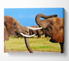 Elephant Chat Canvas Wall Art