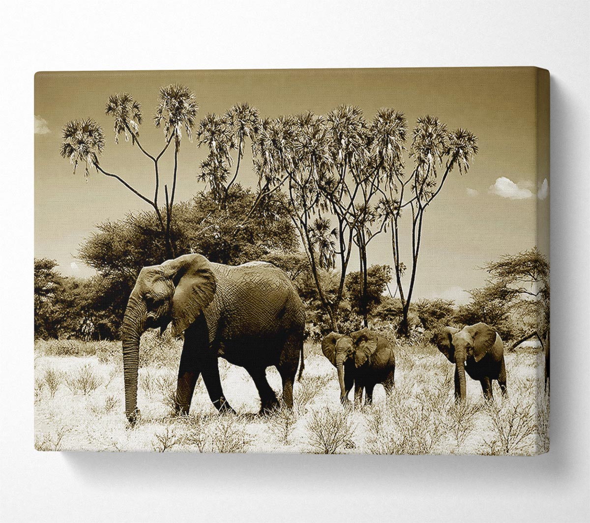 Elephant Family Canvas Wall Art