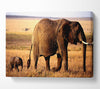 Elephant Mother And Baby Canvas Wall Art