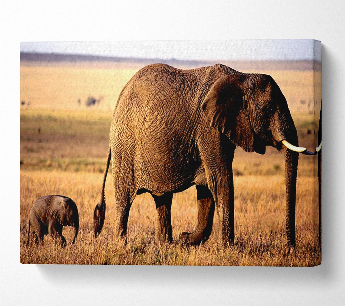 Elephant Mother And Baby Canvas Wall Art