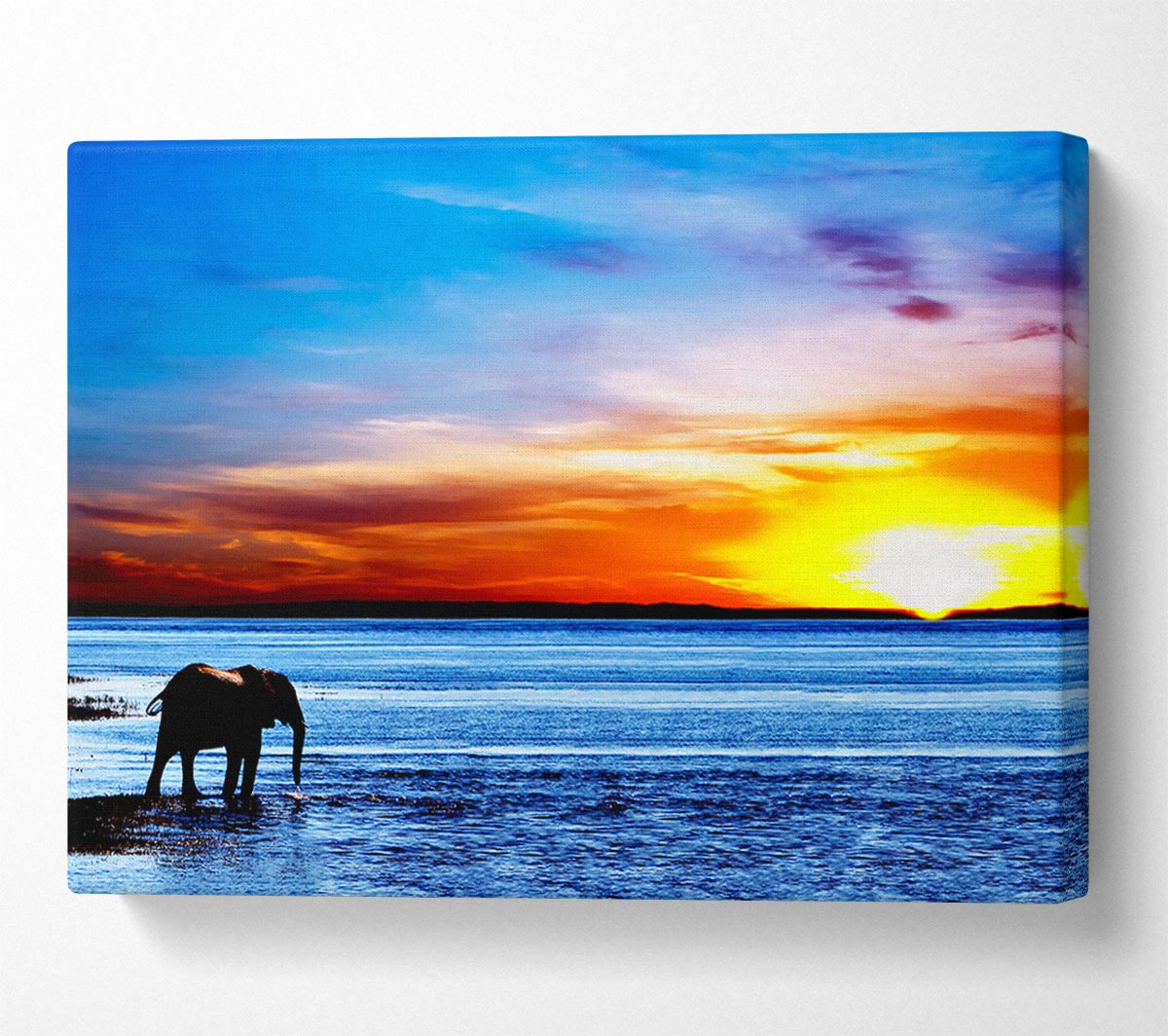 Elephant Ocean Canvas Wall Art