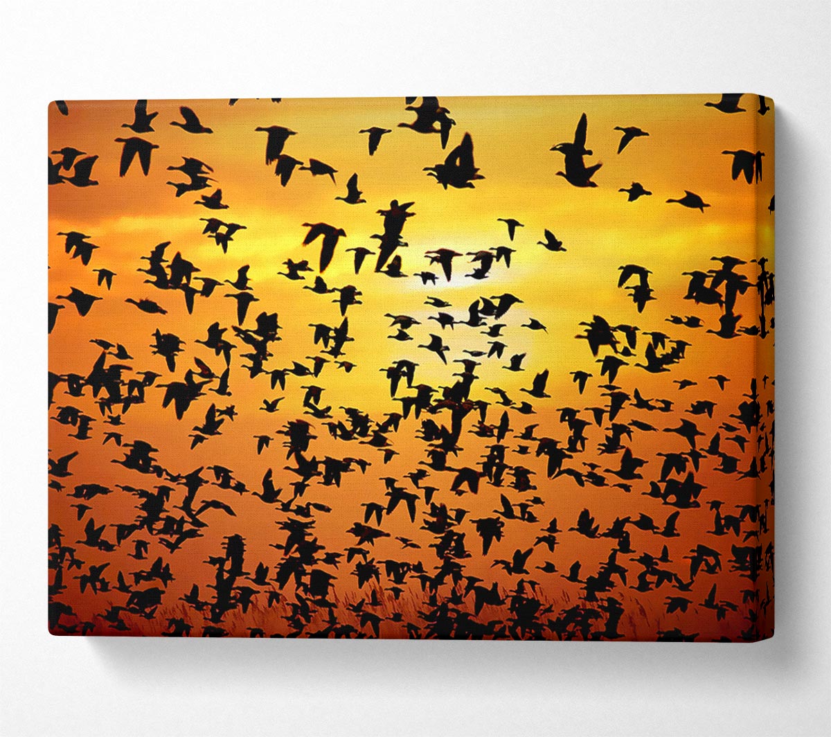 Flight Of The Golden Birds Canvas Wall Art