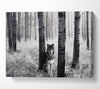 Forest Wolf Canvas Wall Art