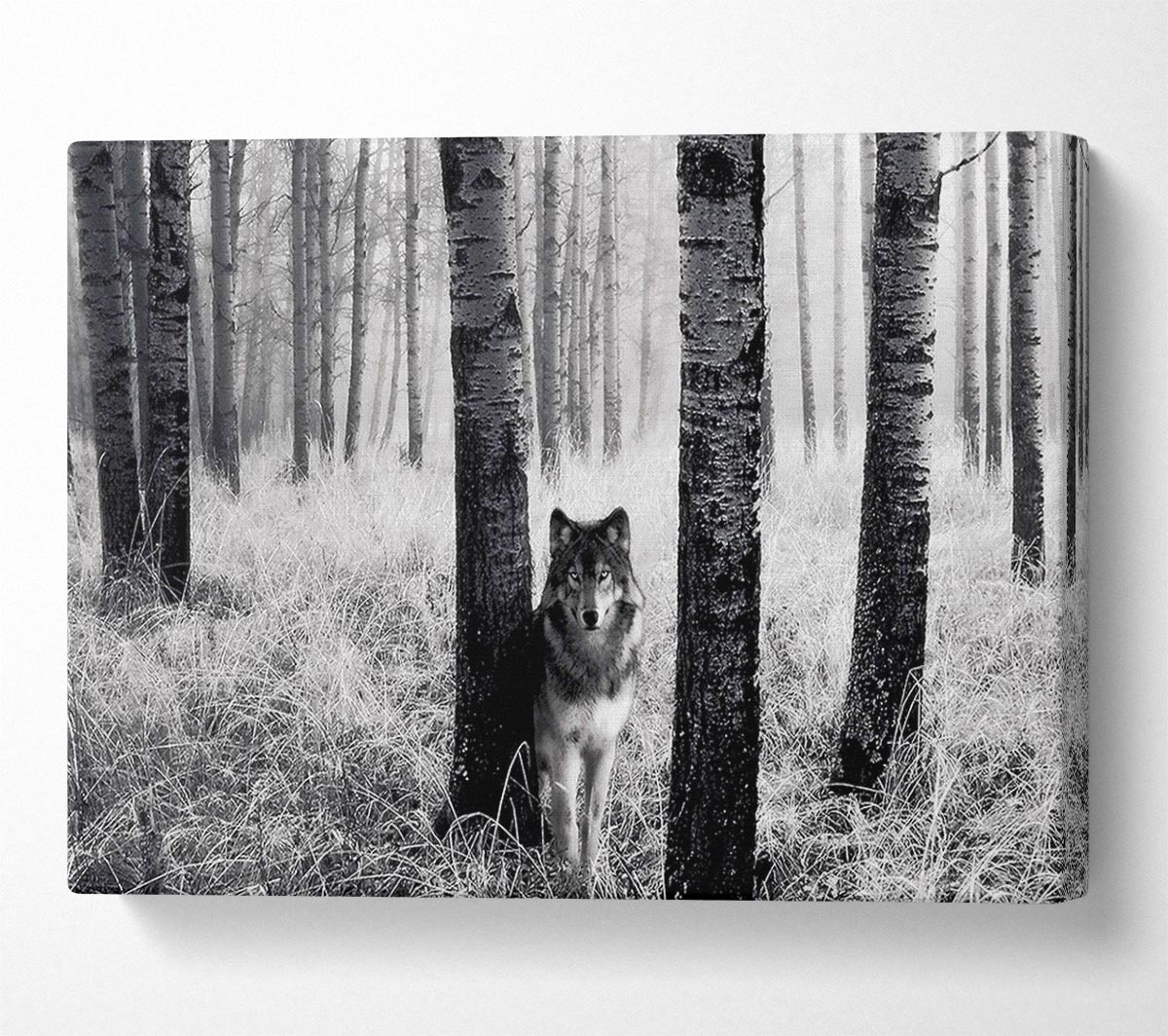 Forest Wolf Canvas Wall Art
