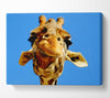 Giraffe Smile Canvas Wall Art