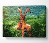 Giraffes Africa Canvas Wall Art