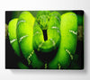 Green Snake Canvas Wall Art