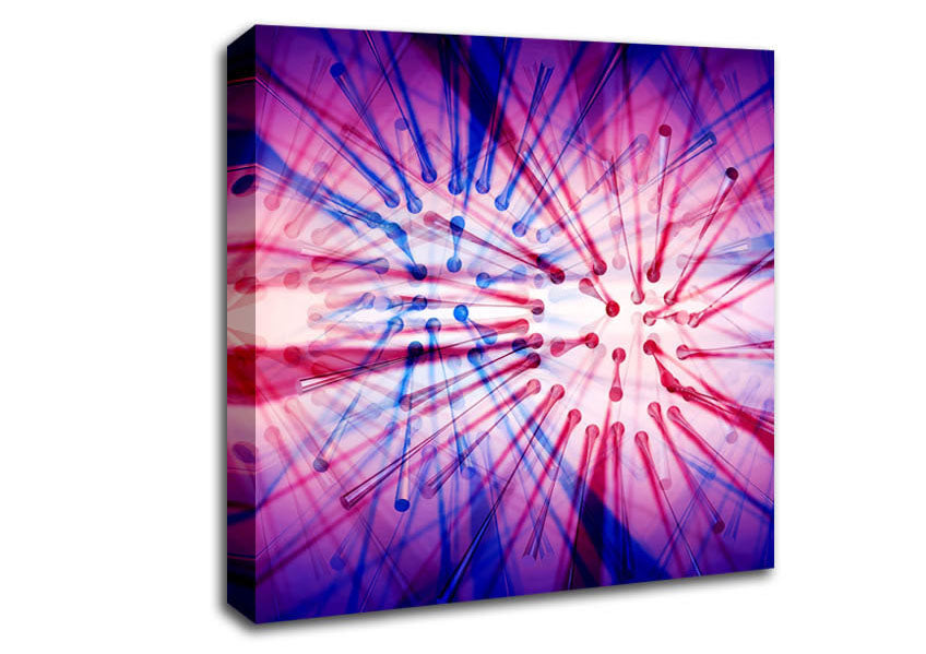 Blazing Star Canvas Wall Art