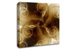 Caramel Swirls Canvas Wall Art