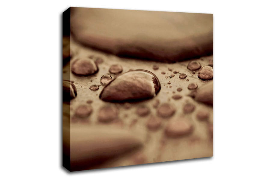 Chocolate Raindrop Canvas Wall Art
