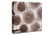 Dandelion Dream Chocolate Canvas Wall Art