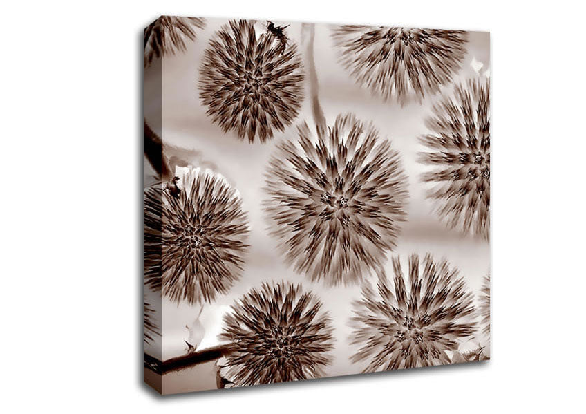 Dandelion Dream Chocolate Canvas Wall Art