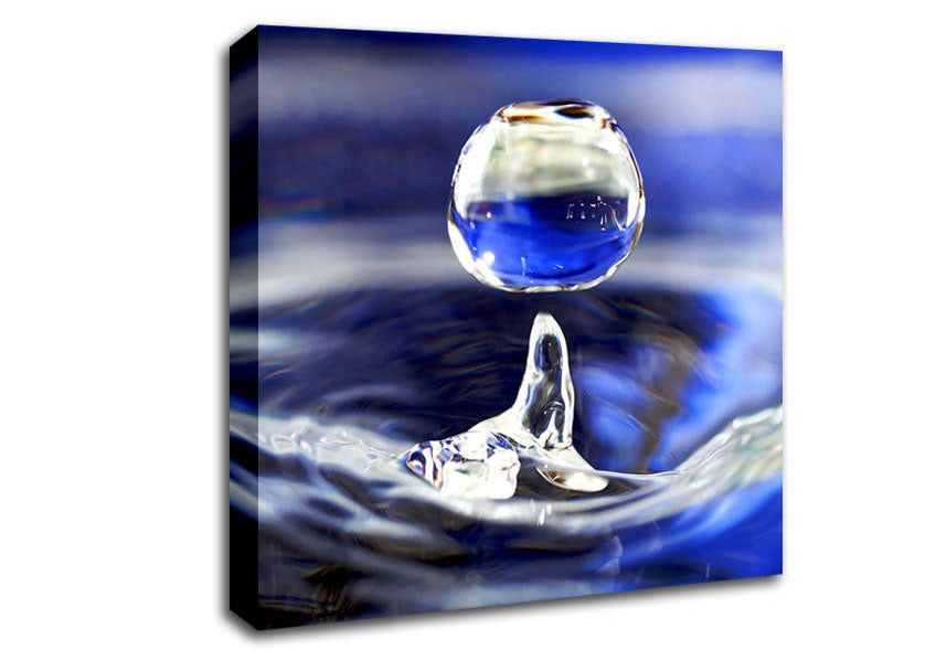 Drop Canvas Wall Art